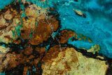 Polished Banded Chrysocolla Slice - Bagdad Mine, Arizona #378914-1